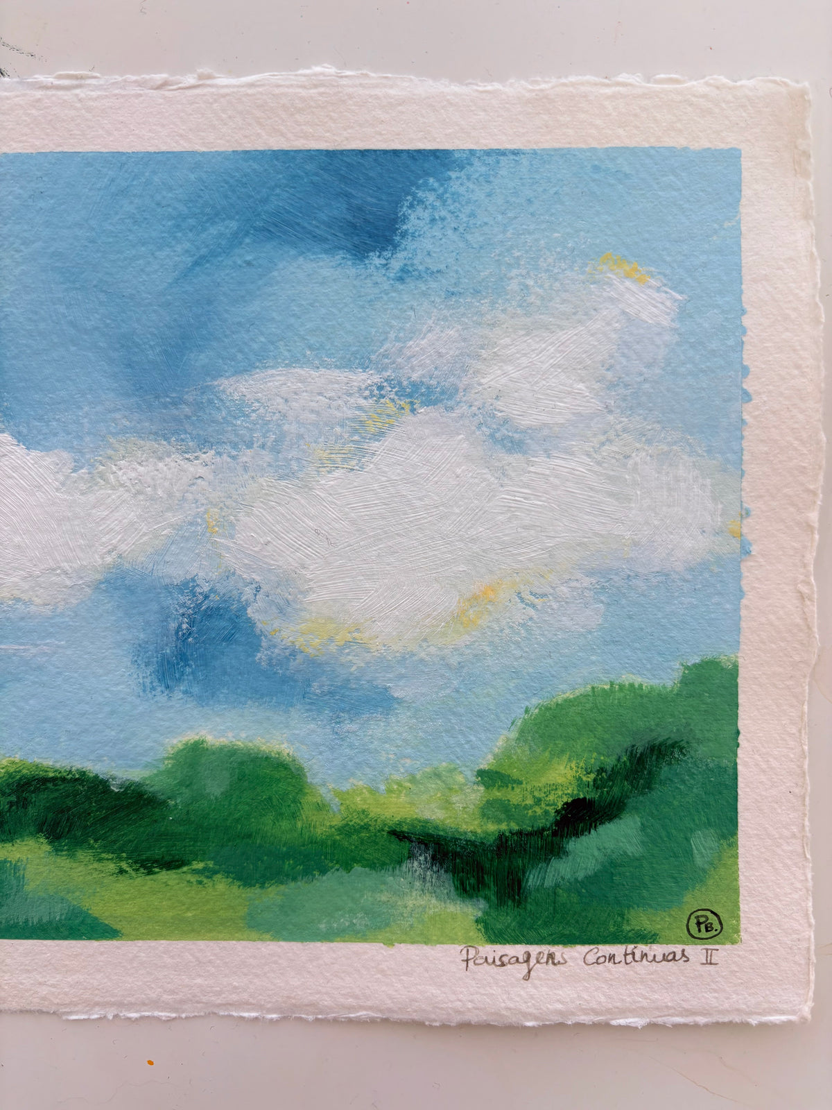 Paisagens Continuas II - Continuous Landscapes II