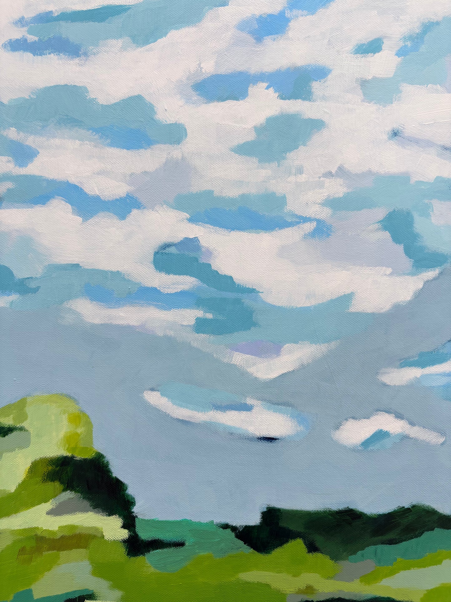 Paisagens Continuas VIII - Continuous Landscapes VIII